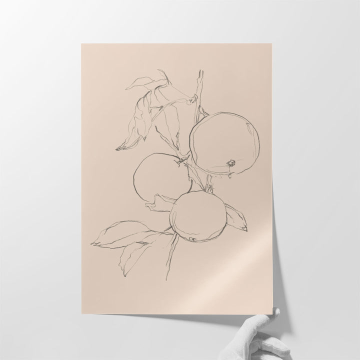 Kitchen wall decor –  sketch accent