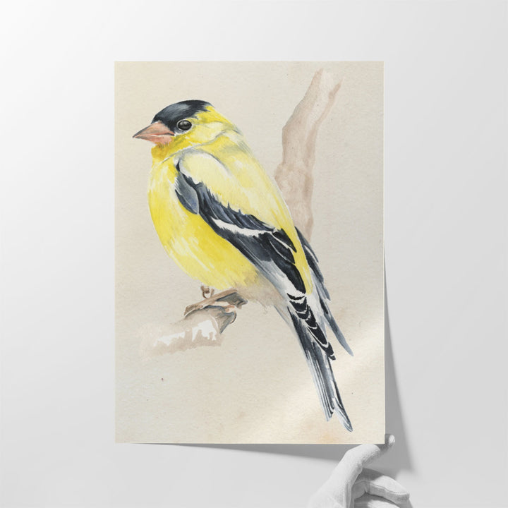 Little Bird on Branch III - Canvas Print Wall Art