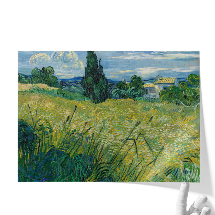 Fine art canvas with tree and open field view