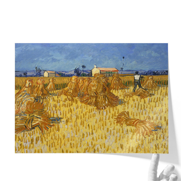 Harvest in Provence, 1888 - Canvas Print Wall Art