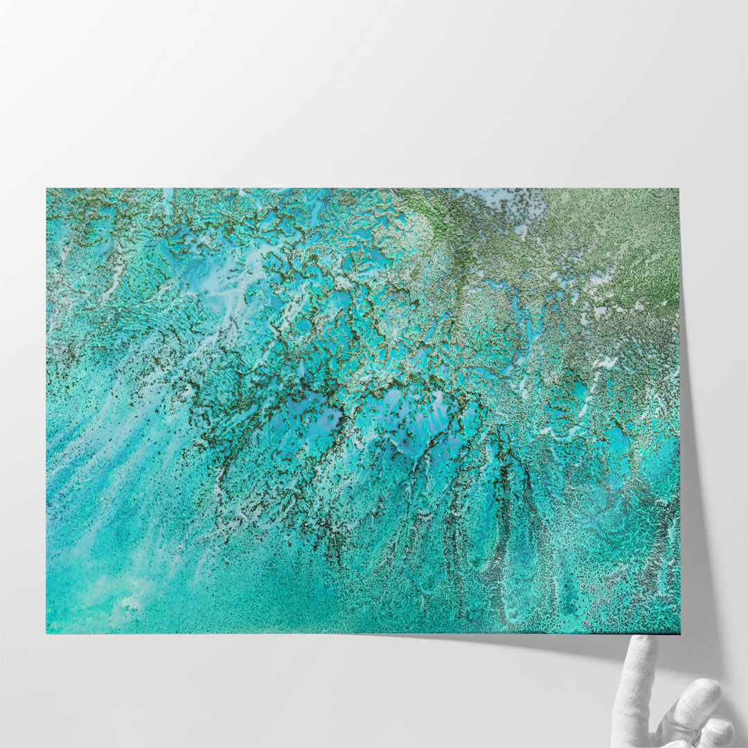 Coral Kingdom - Canvas Print Wall Art