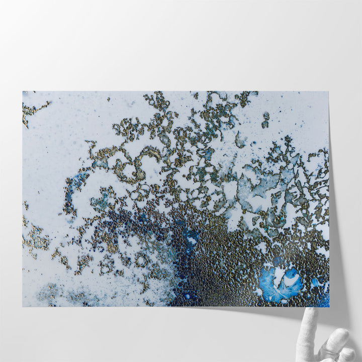 Coral Rising - Canvas Print Wall Art