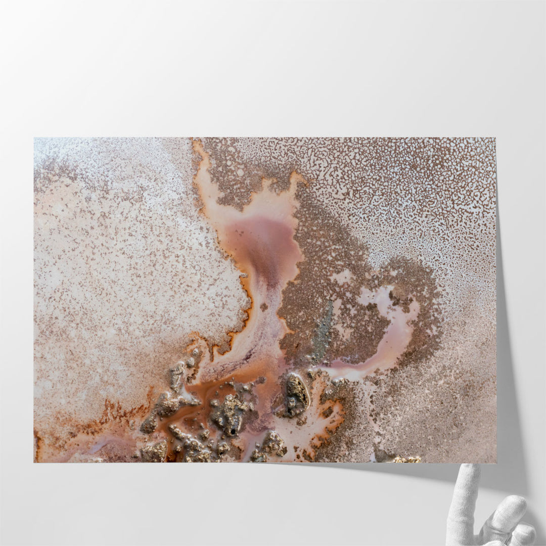 Discovery - Canvas Print Wall Art