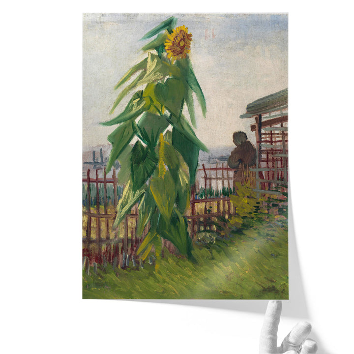 Allotment with Sunflower, 1887 - Canvas Print Wall Art