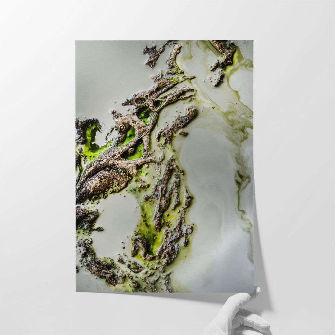 Olive Enigma - Canvas Print Wall Art