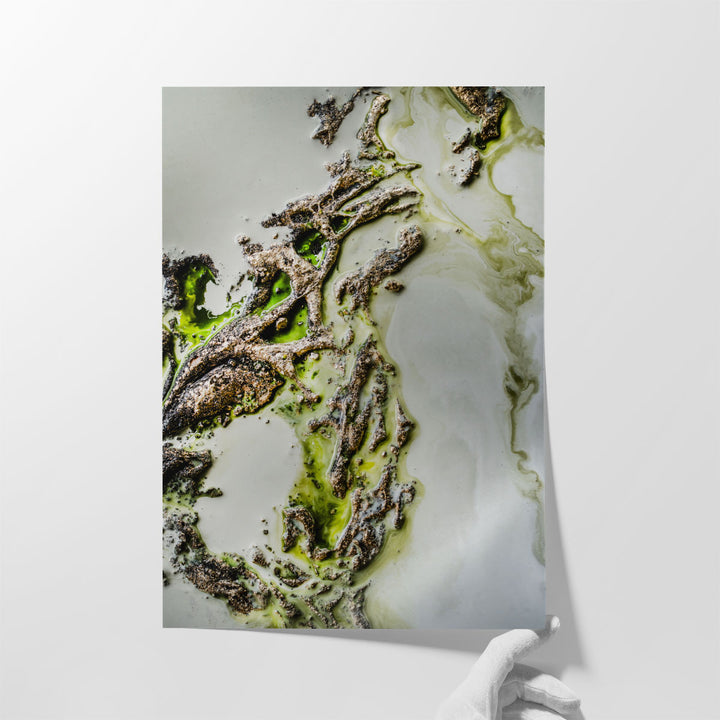 Olive Enigma - Canvas Print Wall Art