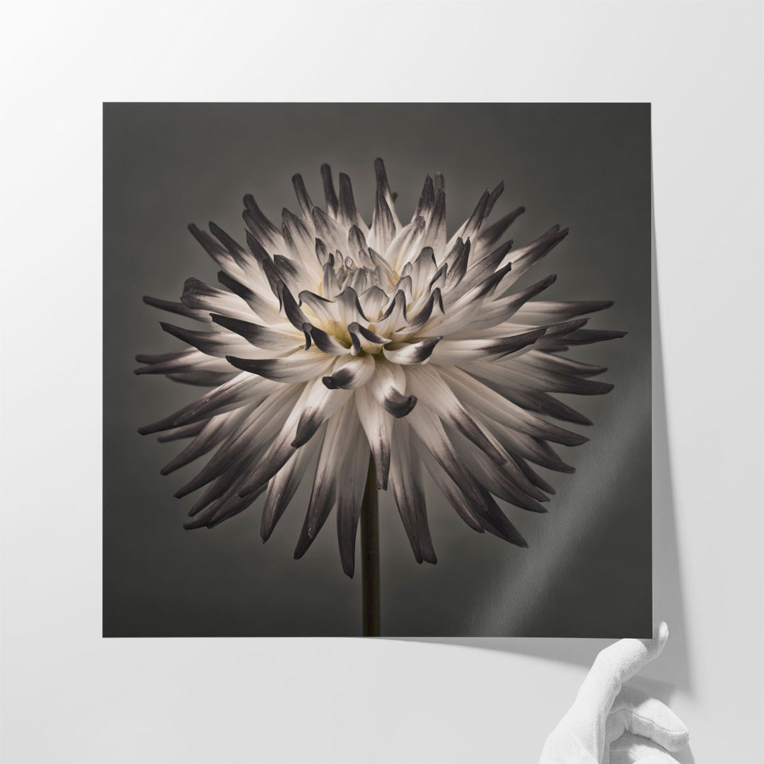 Oversized Framed Photography Art for Living Room