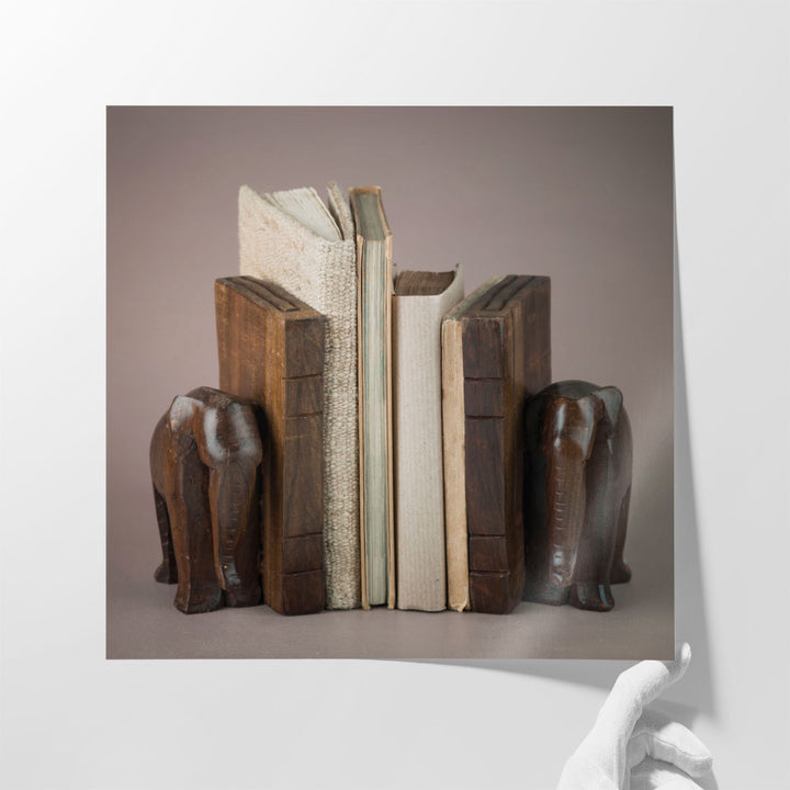 Wooden Elephant Book Shelf - Canvas Print Wall Art