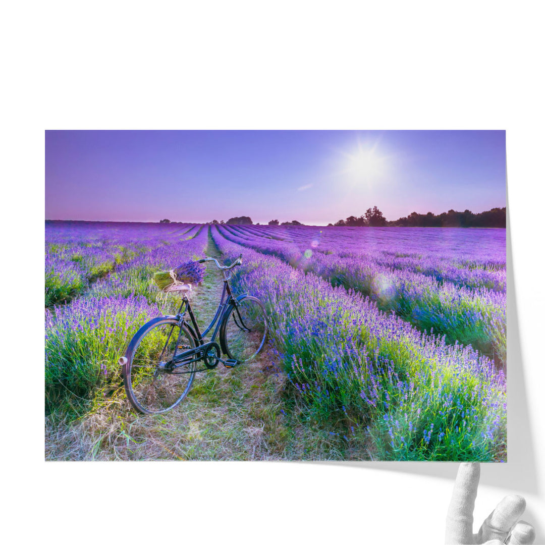 Large landscape canvas art with blooming lavender