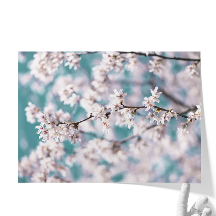 Blossom Flowers - Canvas Print Wall Art