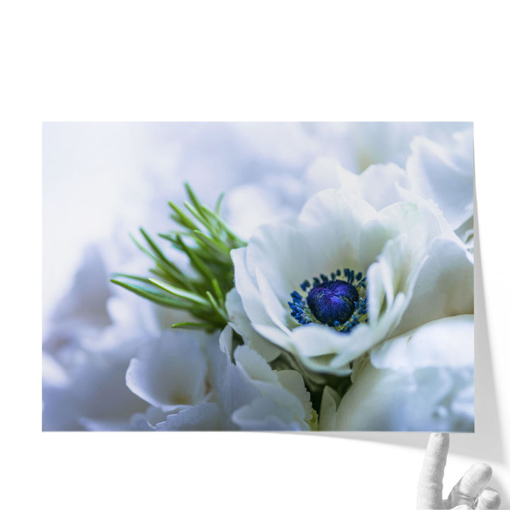 Bunch Of Anemone Indoors - Canvas Print Wall Art