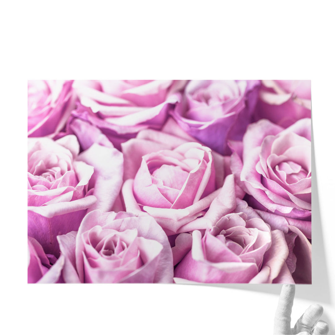 Bunch Of Roses - Canvas Print Wall Art