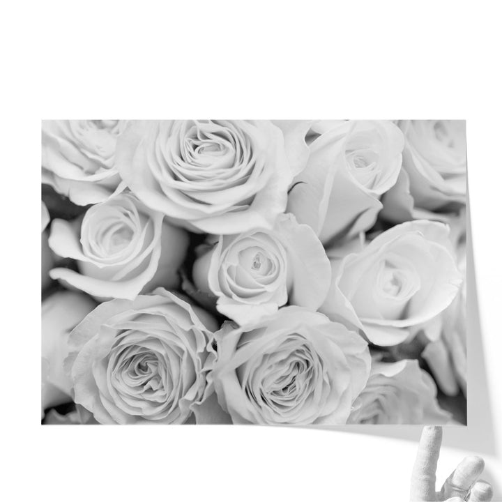 Close-up Of Bunch Of Roses Black And White - Canvas Print Wall Art