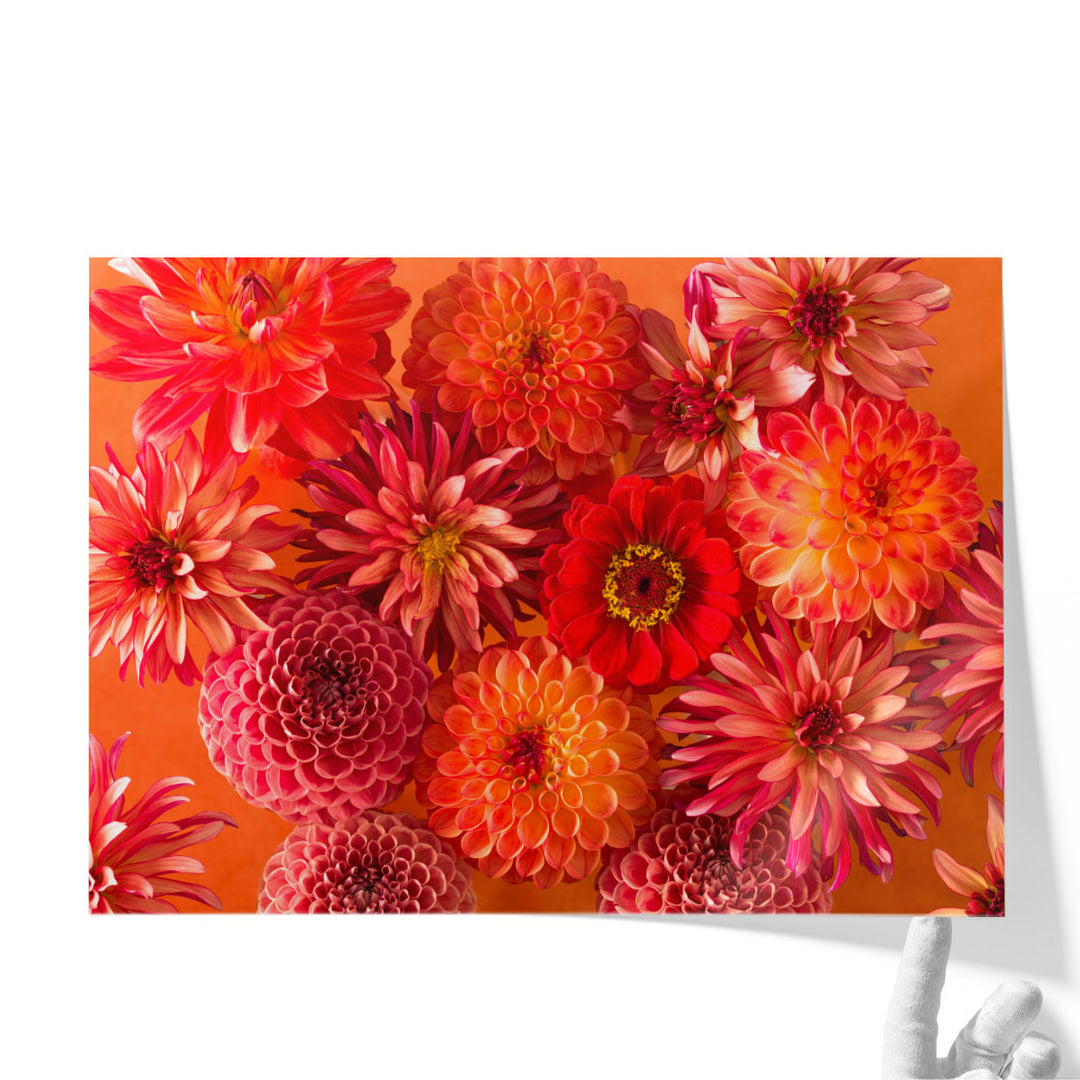 Full Frame Of Mixed Flowers 1 - Canvas Print Wall Art