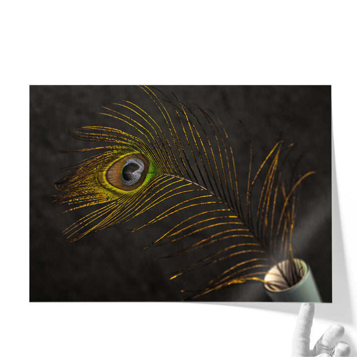 Peacock Feather In A Vase - Canvas Print Wall Art