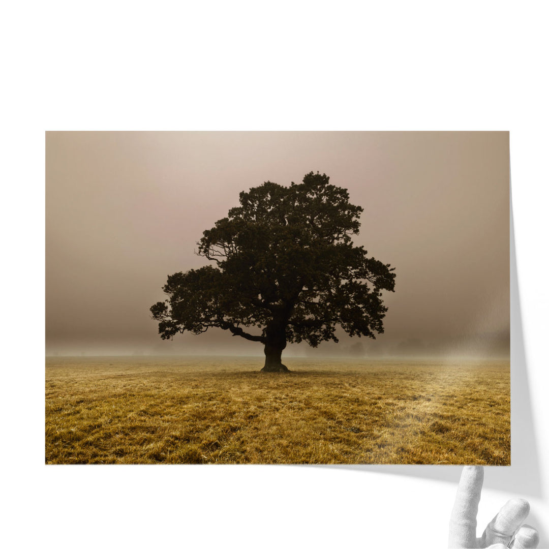 Single Tree In Mist And Fog - Canvas Print Wall Art
