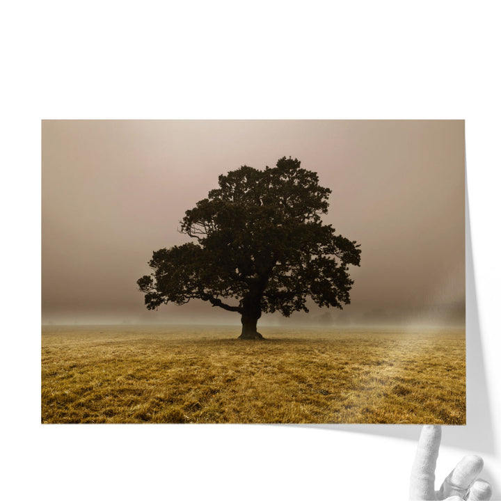 Single Tree In Mist And Fog - Canvas Print Wall Art