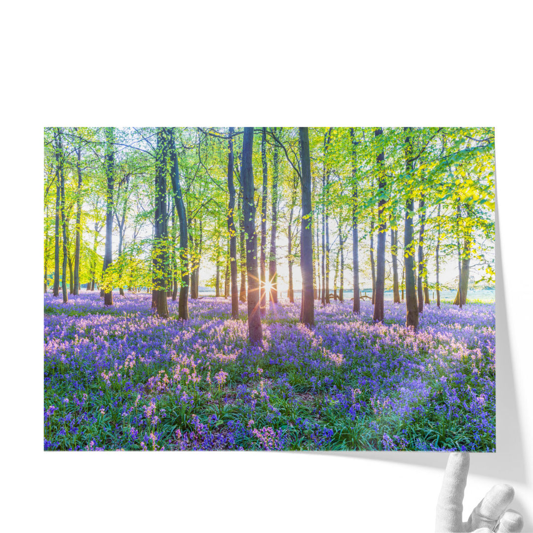 Bluebells I - Canvas Print Wall Art