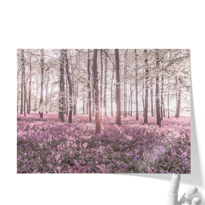 Bluebells II - Canvas Print Wall Art
