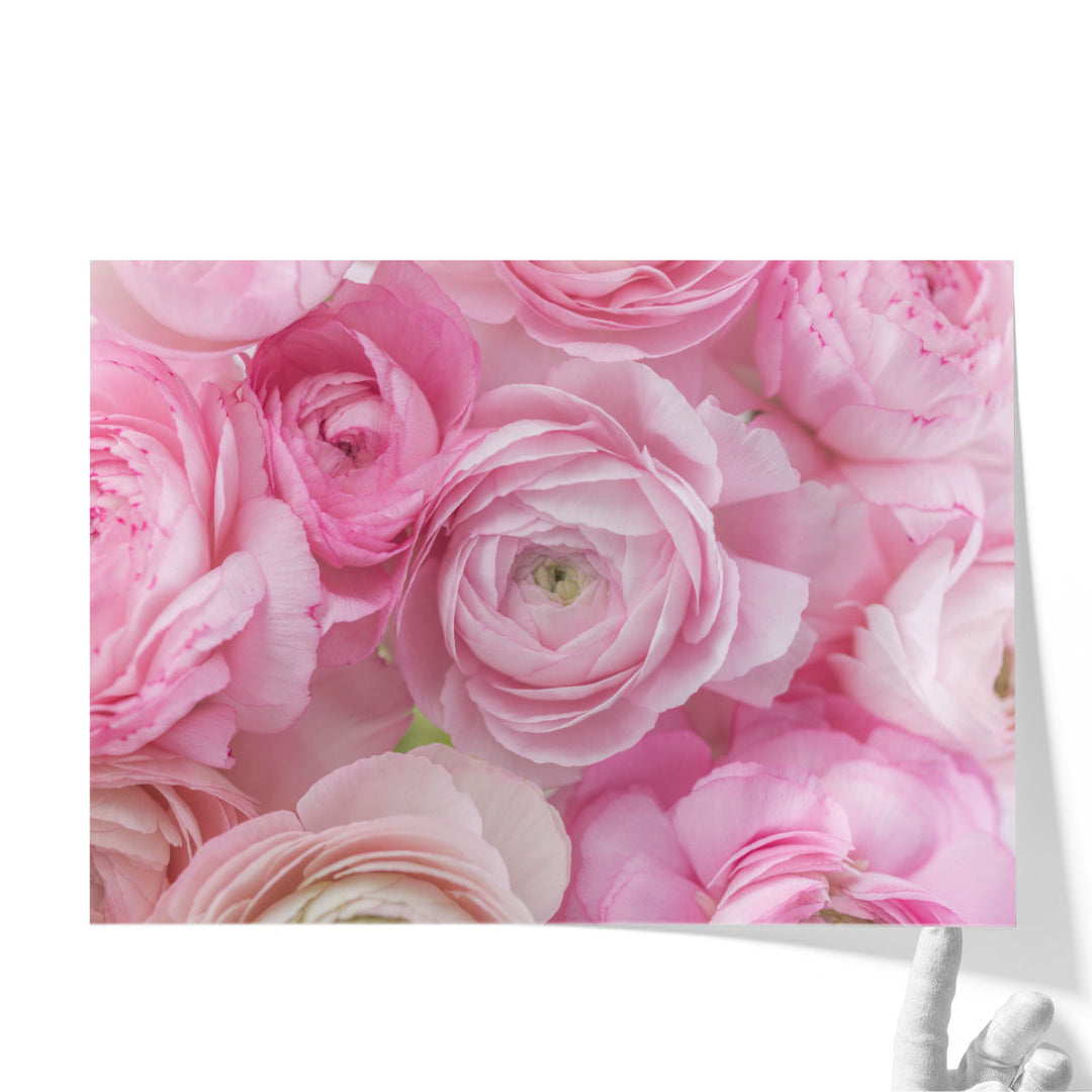 Bunch of Ranunculus - Canvas Print Wall Art