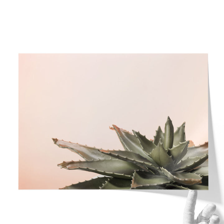 Cactus - Canvas Print Wall Art