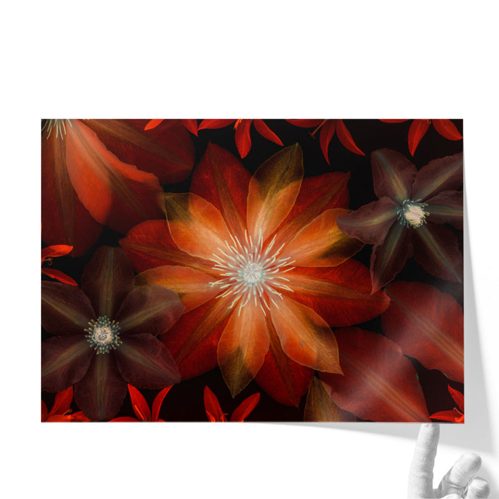 Clematis Flowers I - Canvas Print Wall Art