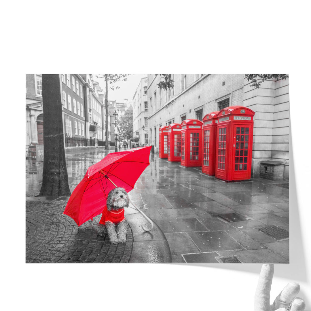 Dog with Umbrella in London - Canvas Print Wall Art
