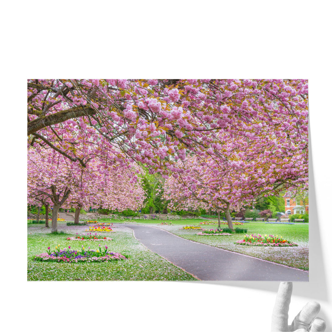 Blossom in the Park - Canvas Print Wall Art