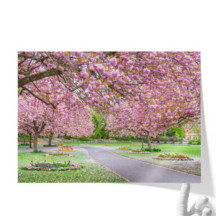 Blossom in the Park - Canvas Print Wall Art