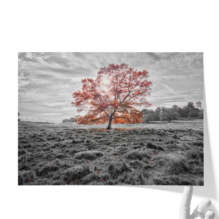 Autumn canvas wall art for farmhouse style