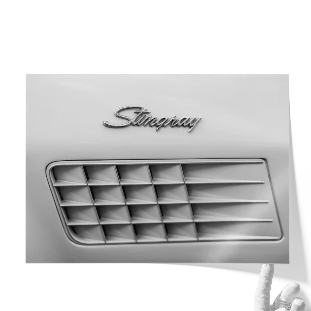 Stingray Car Logo - Canvas Print Wall Art