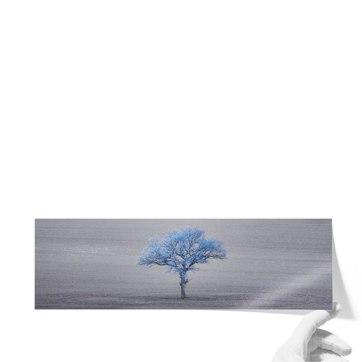 Lone Tree 3 - Canvas Print Wall Art