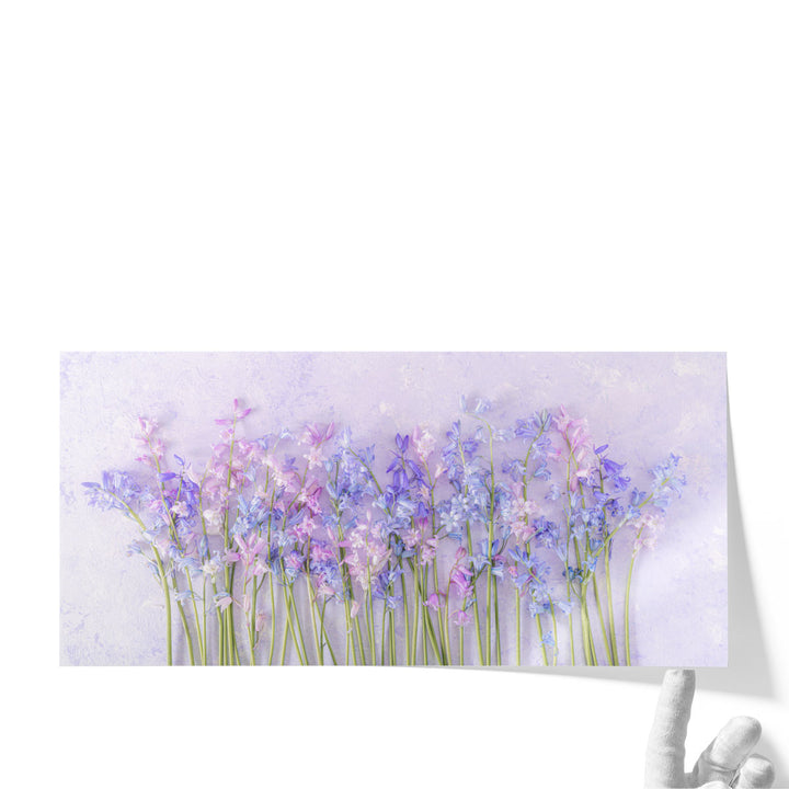 Bluebell Flowers - Canvas Print Wall Art