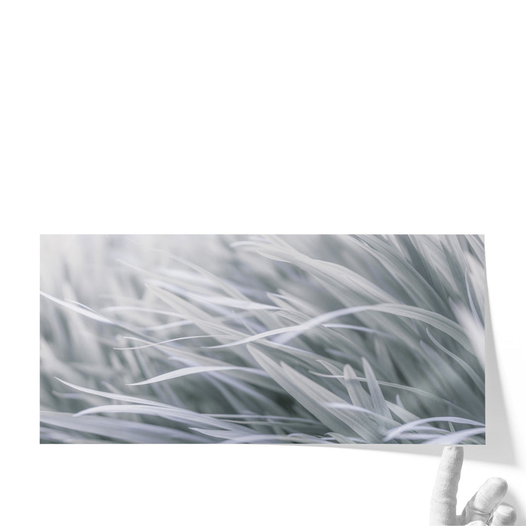 Leaves - Canvas Print Wall Art
