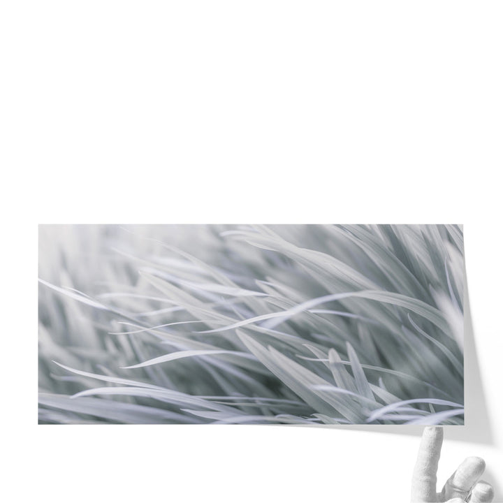 Leaves - Canvas Print Wall Art