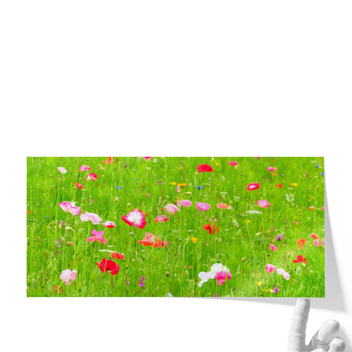 Meadow Flowers - Canvas Print Wall Art