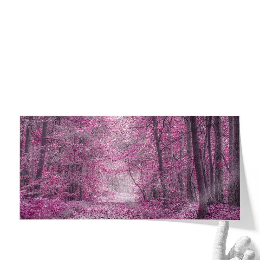 Pathway through Autumn Forest - Canvas Print Wall Art