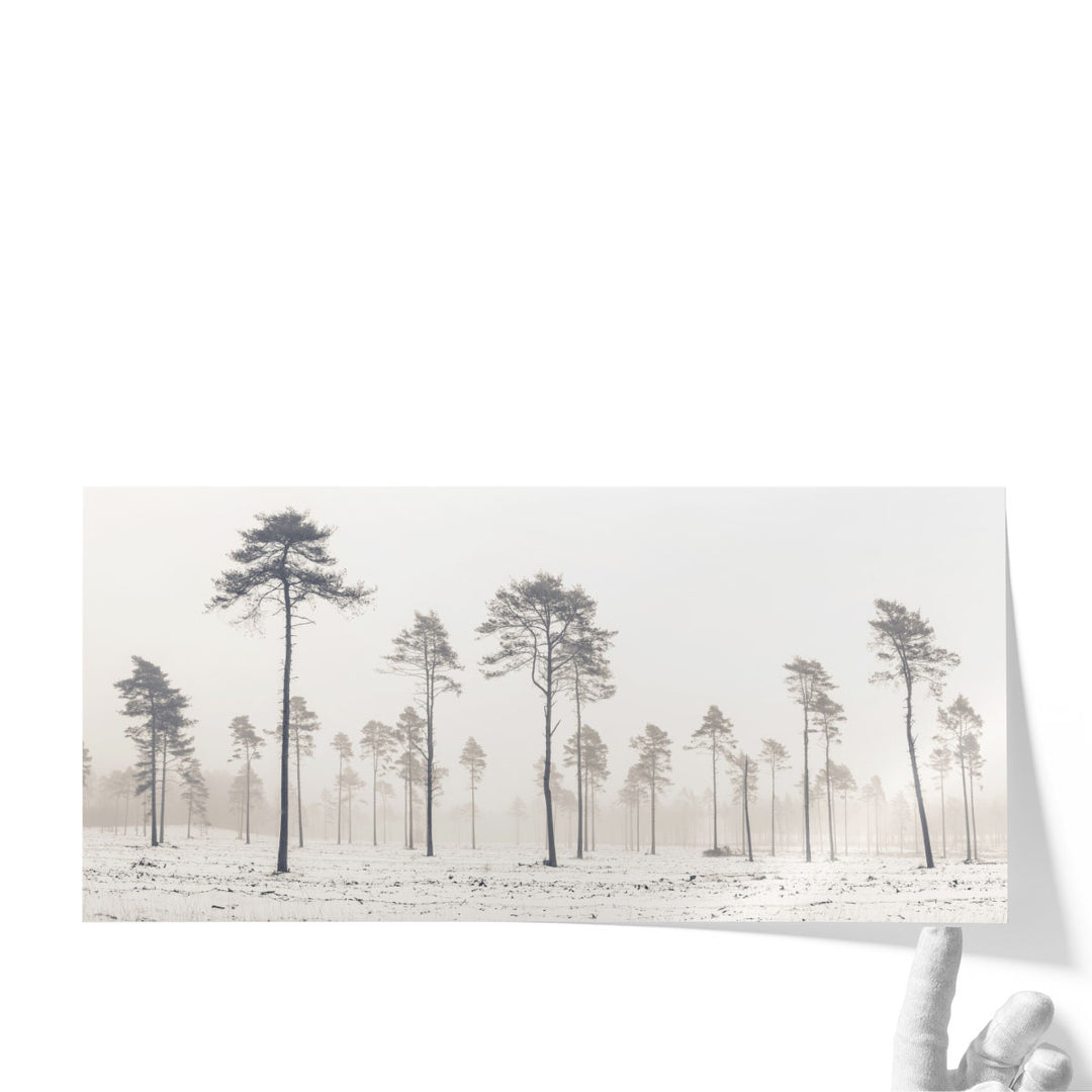 Snowy Forest in Winter - Canvas Print Wall Art