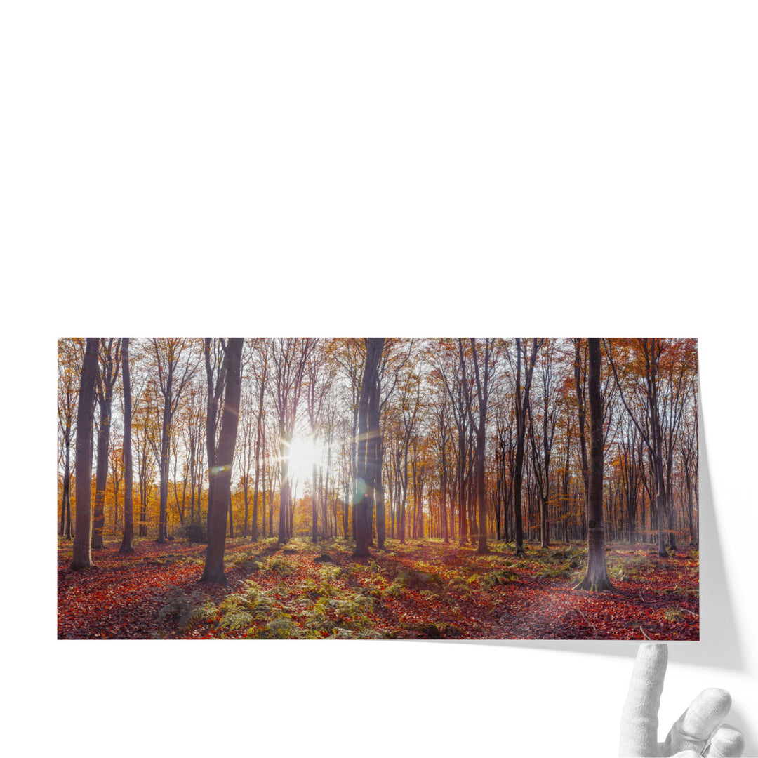 Brown fall canvas art for farmhouse walls