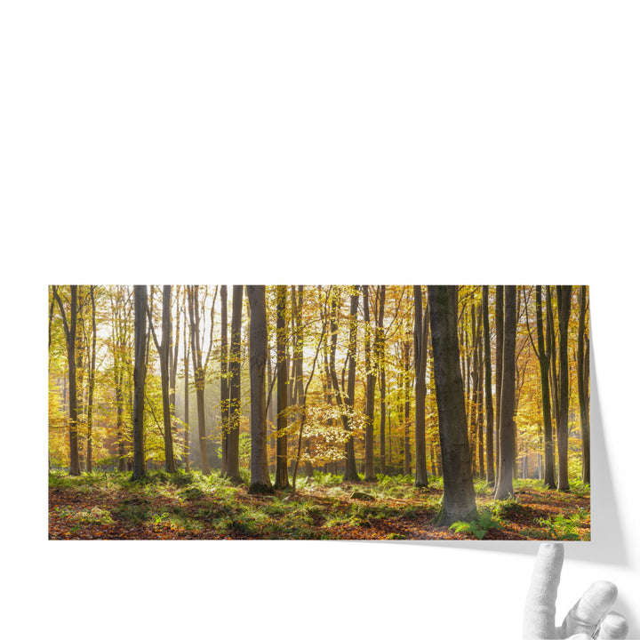 36x18 sunshine wall art for farmhouse