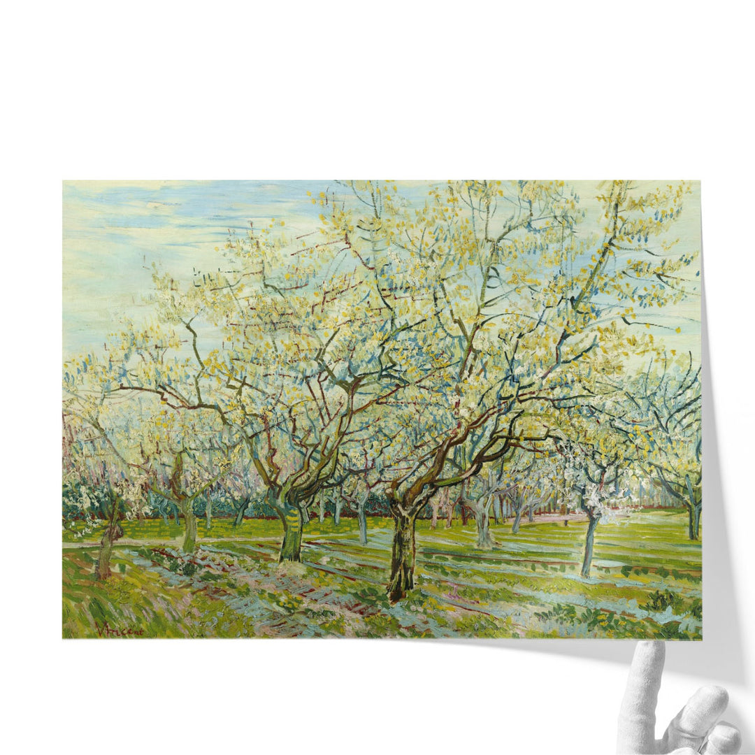 The White Orchard, 1888 - Canvas Print Wall Art
