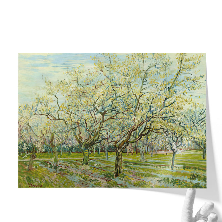 The White Orchard, 1888 - Canvas Print Wall Art