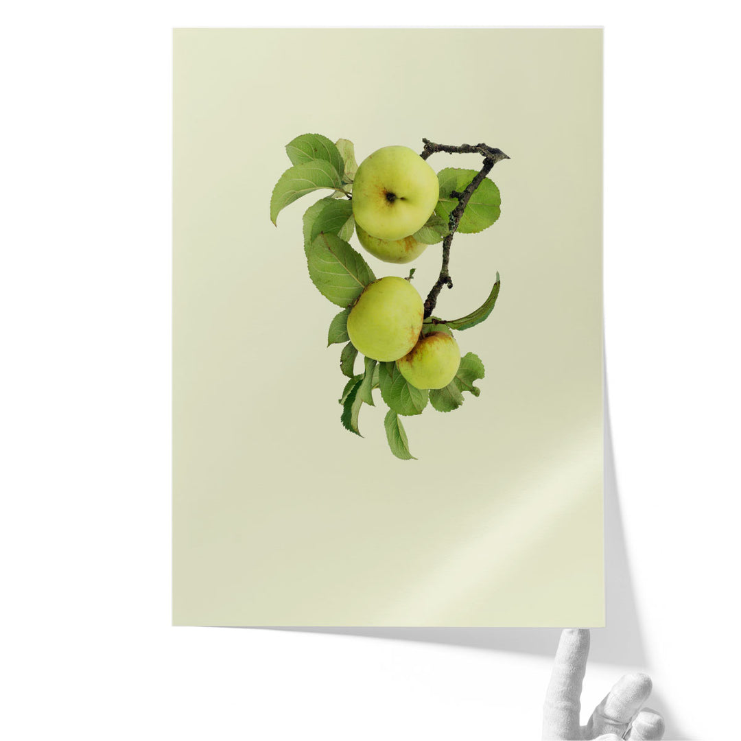 Huge Framed Photography Art for Kitchen – oversized apple display