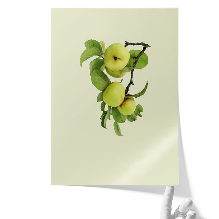 Huge Framed Photography Art for Kitchen – oversized apple display