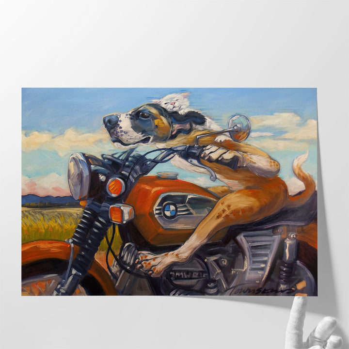 Fast And Furriest - Canvas Print Wall Art