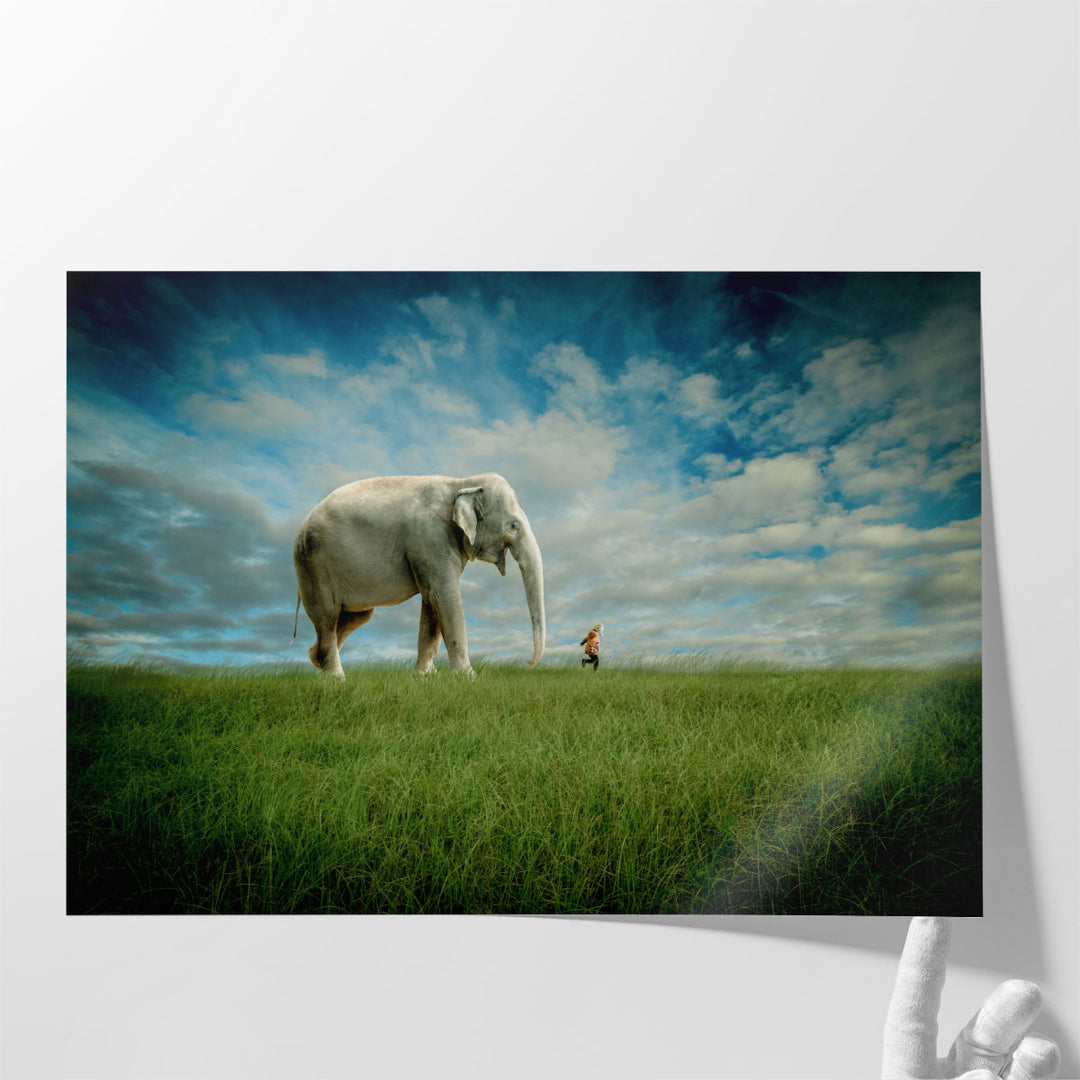 Elephant Follow Me - Canvas Print Wall Art