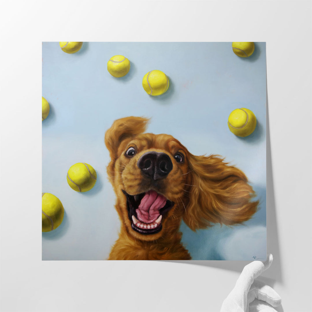Ball Boy - Canvas Print Wall Art