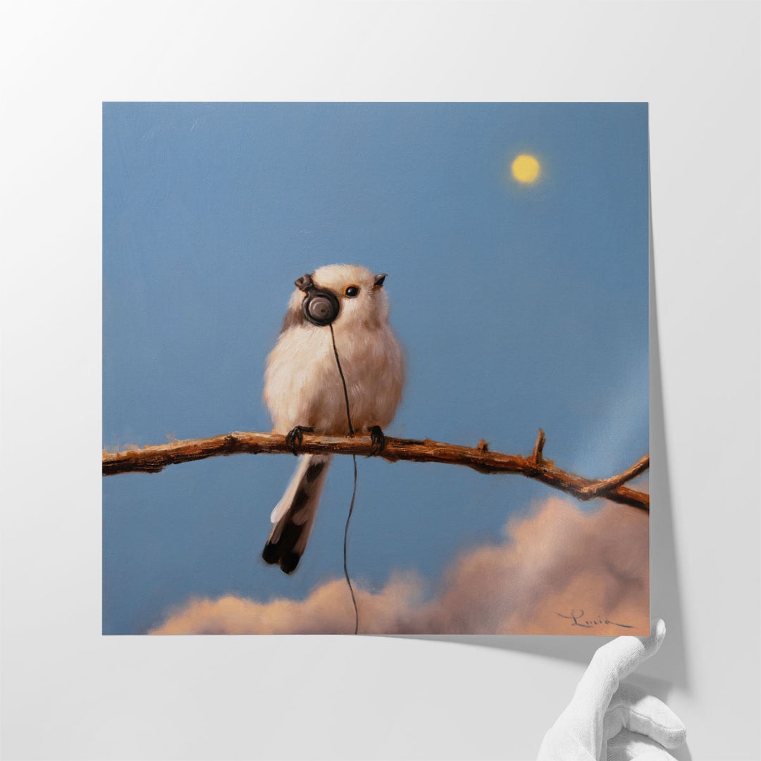 Song Bird No. 8 - Canvas Print Wall Art