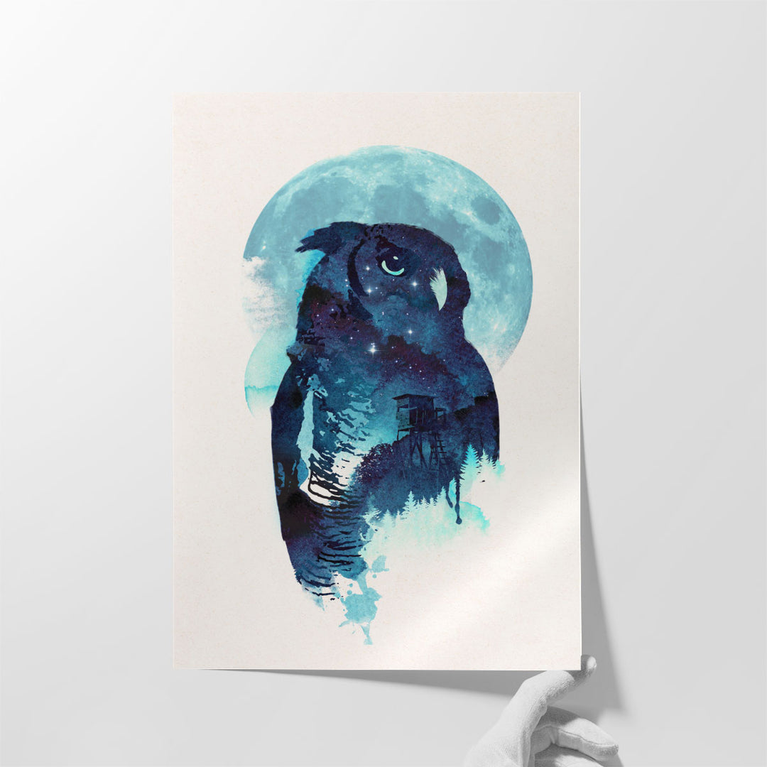 Midnight Owl - Canvas Print Wall Art