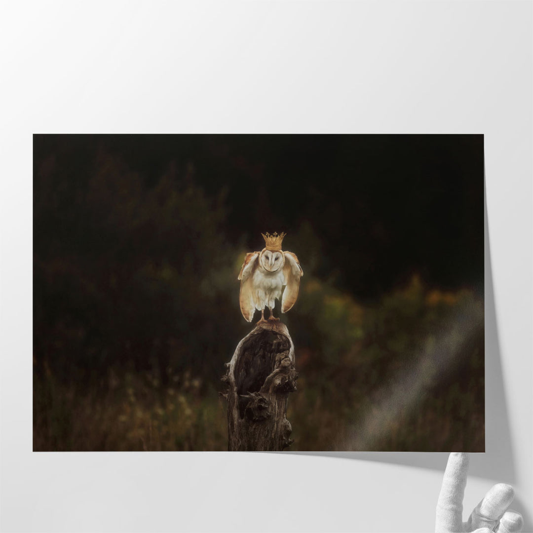 The Owl King - Canvas Print Wall Art